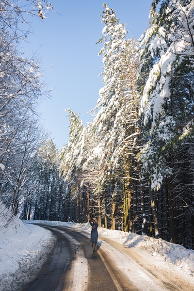 人走在冰雪覆盖之间的路径树白天
